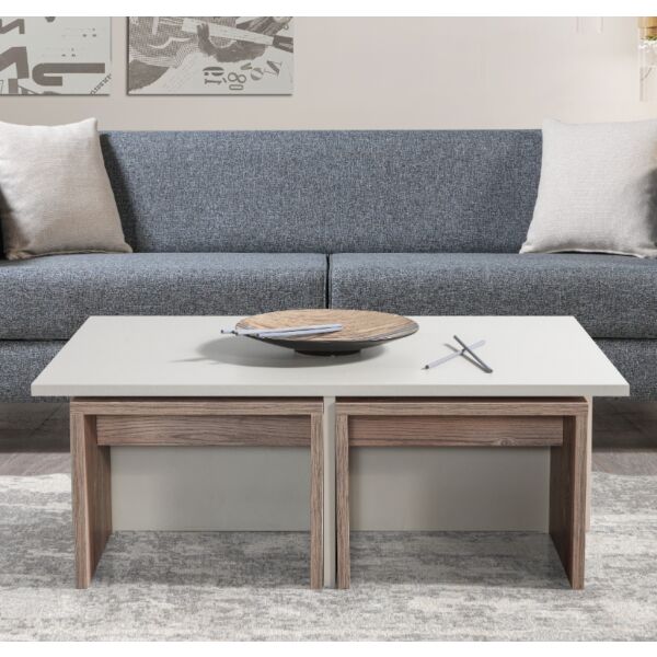 طاولة قهوة تشيست إلم كوف مع 4 طاولات جانبية - رمادي فاتح ورمادي خشبي