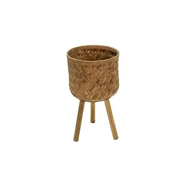 baytonia_gallery_image