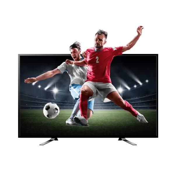 baytonia_gallery_image