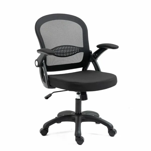 baytonia_gallery_image