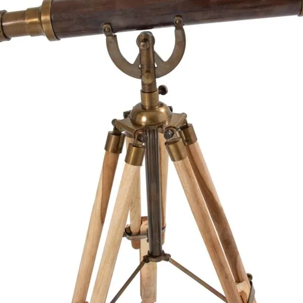 baytonia_gallery_image