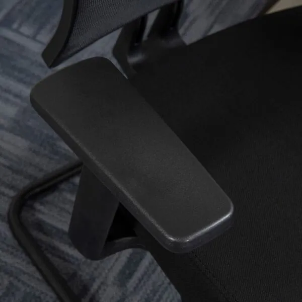 baytonia_gallery_image