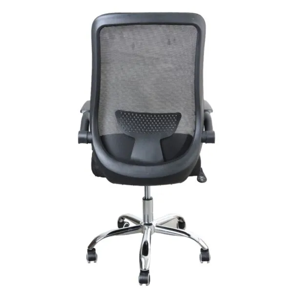 baytonia_gallery_image