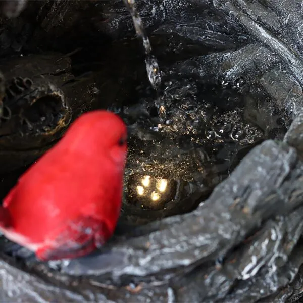 baytonia_gallery_image