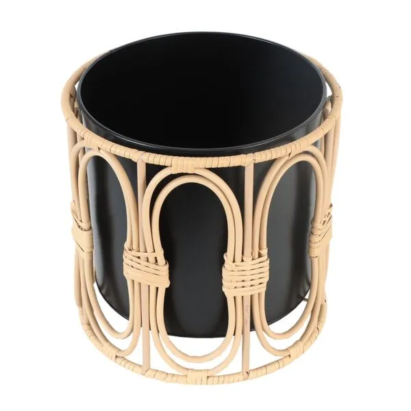 baytonia_gallery_image