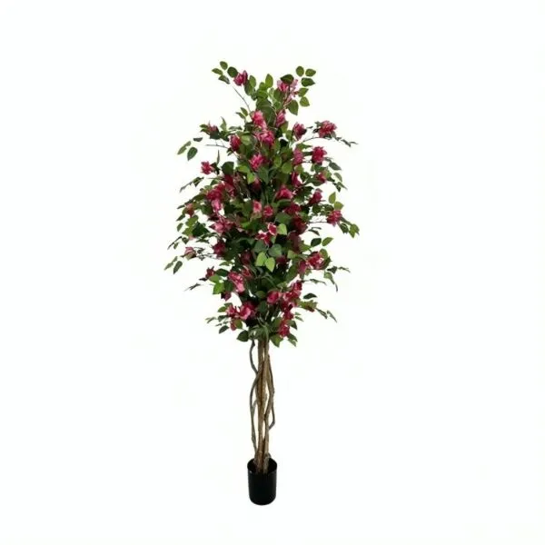 baytonia_gallery_image