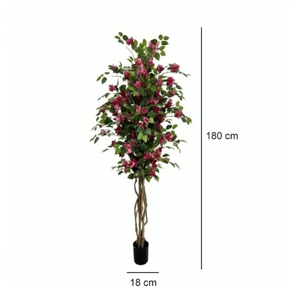 baytonia_gallery_image