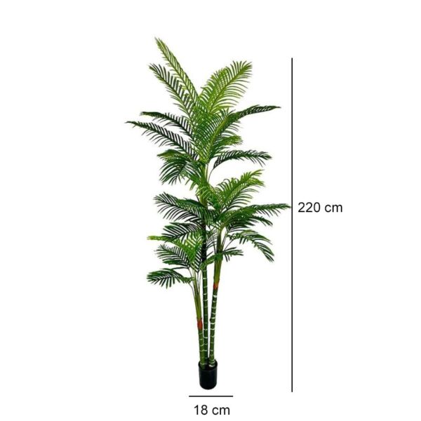 baytonia_gallery_image