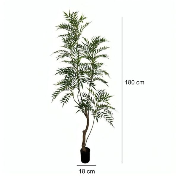 baytonia_gallery_image