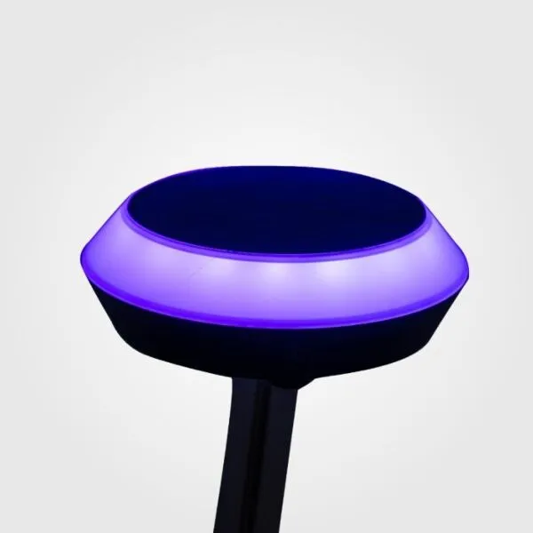 baytonia_gallery_image