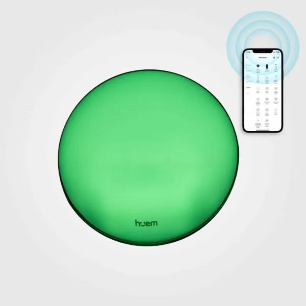 baytonia_gallery_image