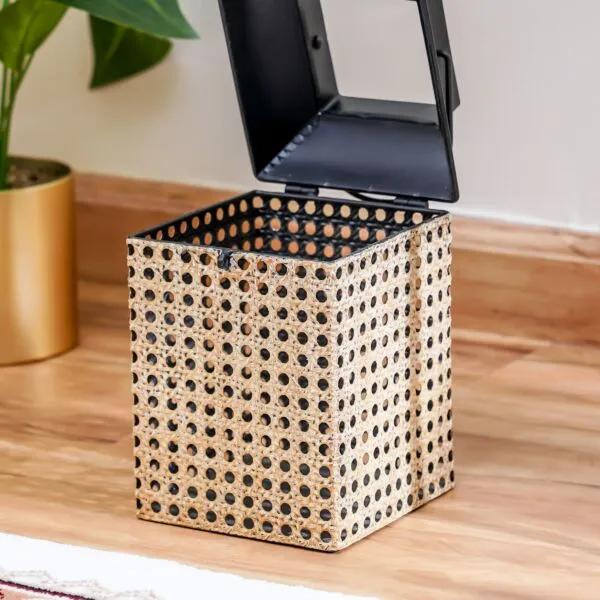 baytonia_gallery_image