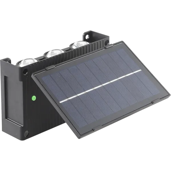 baytonia_gallery_image