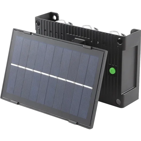 baytonia_gallery_image