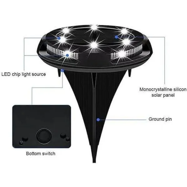 baytonia_gallery_image