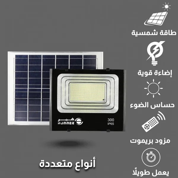 baytonia_gallery_image