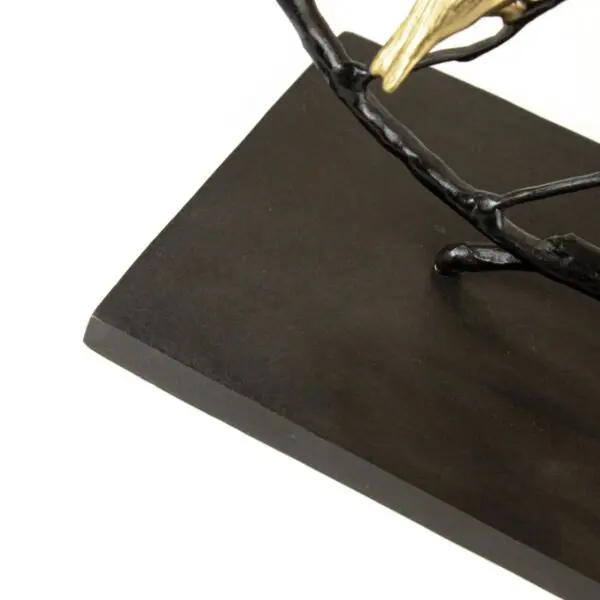 baytonia_gallery_image