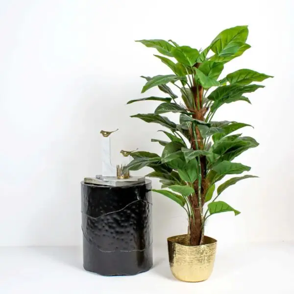 baytonia_gallery_image