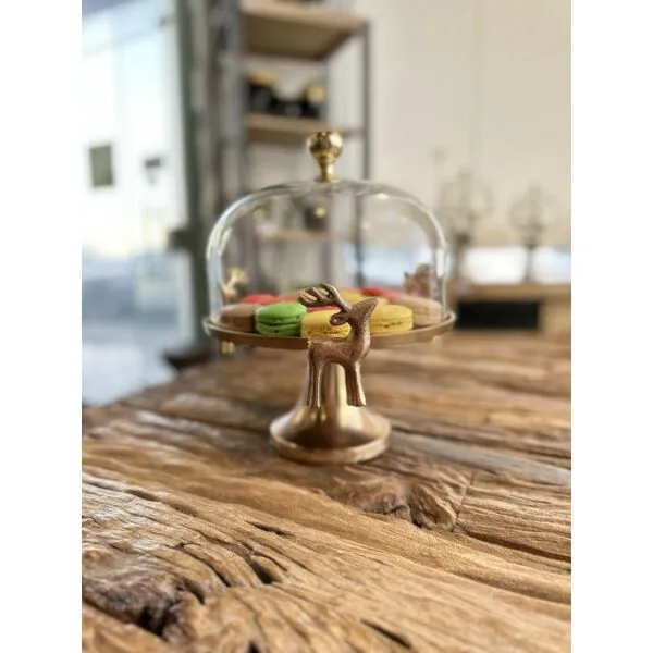 baytonia_gallery_image