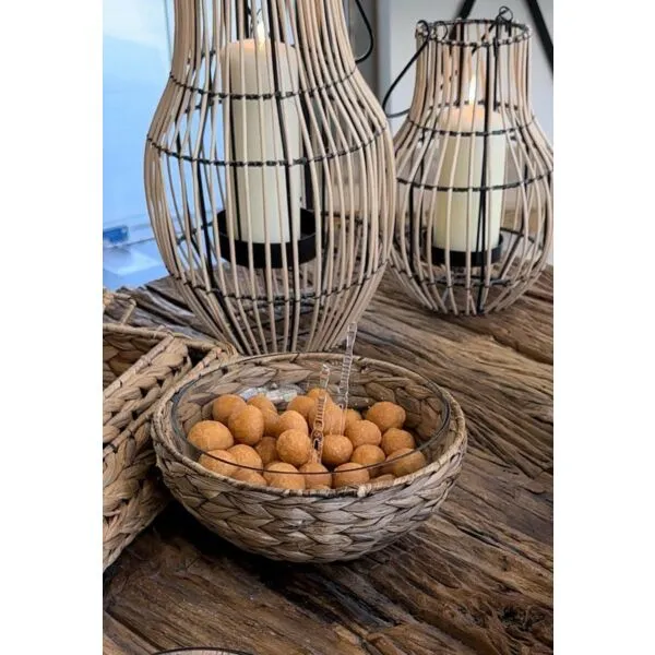 baytonia_gallery_image