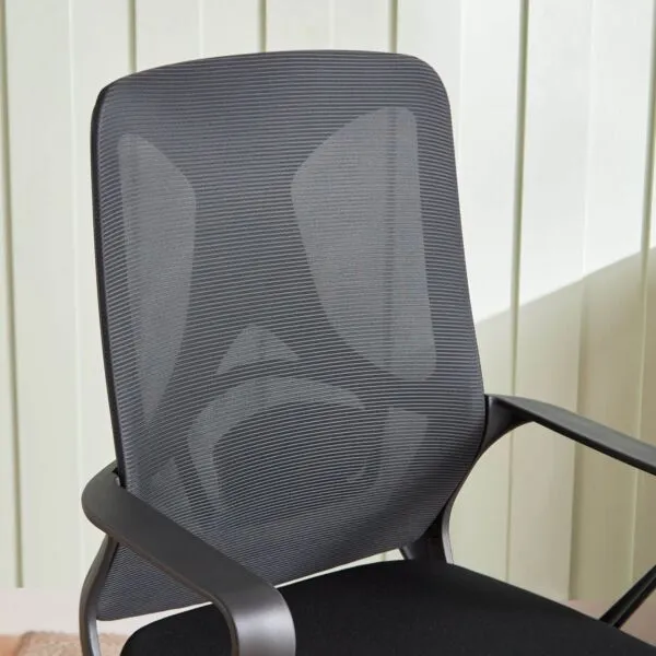 baytonia_gallery_image