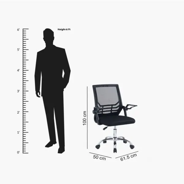 baytonia_gallery_image