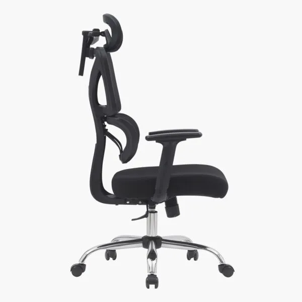 baytonia_gallery_image