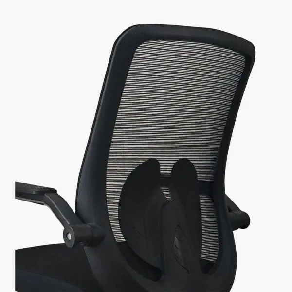 baytonia_gallery_image