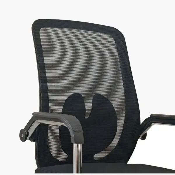 baytonia_gallery_image