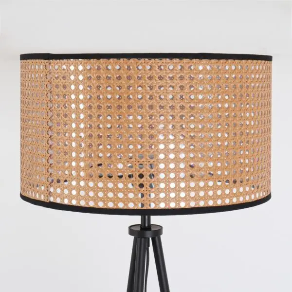 baytonia_gallery_image