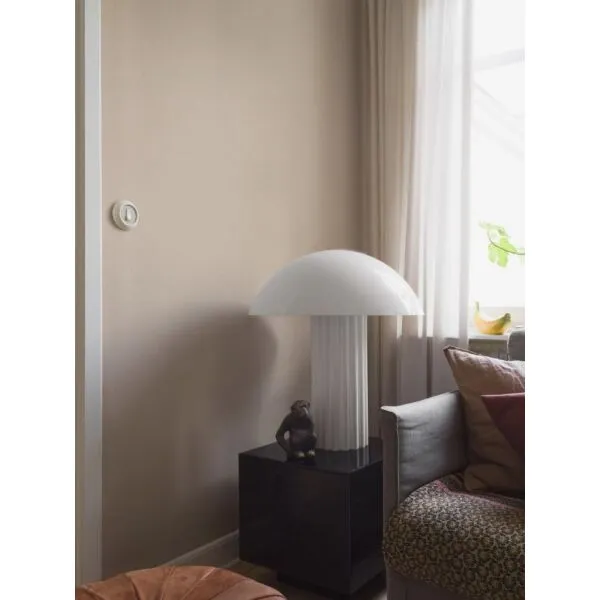 baytonia_gallery_image