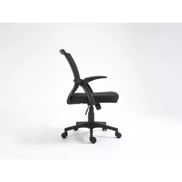 baytonia_gallery_image