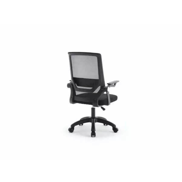 baytonia_gallery_image