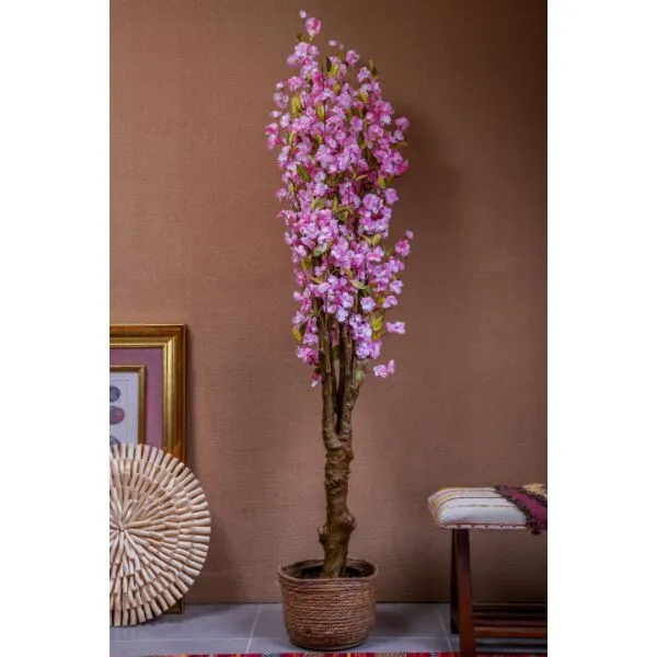 baytonia_gallery_image