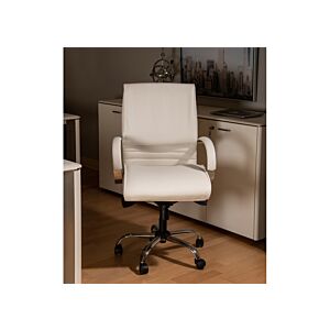 كرسي مكتب ظهر منخفض سيفراس