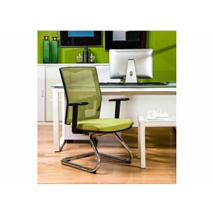 كرسى زائر ديبولا