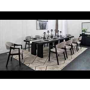 طقم طاولة طعام 10 كراسي تريكسر