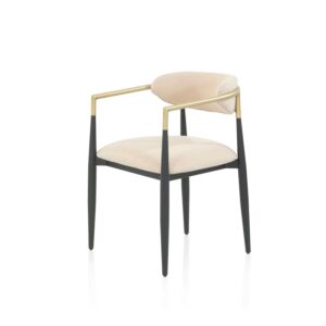 كرسي طاولة زيروكس - بيج