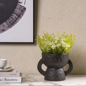 فازة ثيودورو