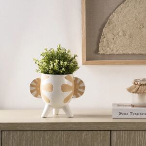 فازة حجم صغير روديز - بيج