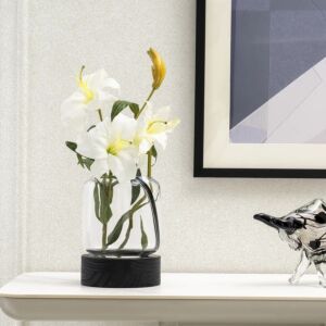 فازة حجم كبير دينيزا - شفاف