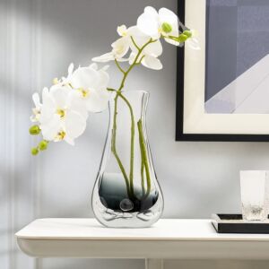 فازة حجم كبير الفيو - شفاف