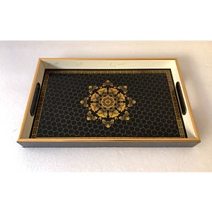 صينية تقديم ترفل مستطيل زجاج بإطار بلاستيك متعدد الالوان