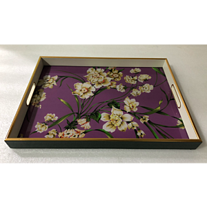 صينية تقديم روز مستطيل زجاج بإطار بلاستيك متعدد الالوان