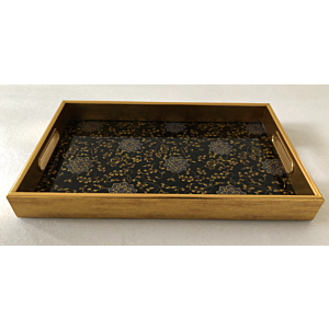 صينية تقديم لورا مستطيل زجاج بإطار بلاستيك متعدد الالوان