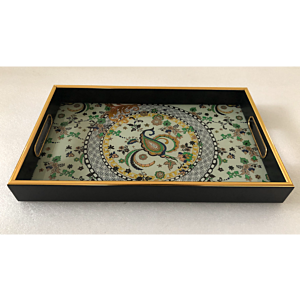 صينية تقديم كارن مستطيل زجاج بإطار بلاستيك متعدد الالوان