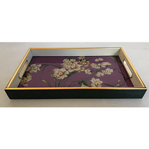 صينية تقديم دير مستطيل زجاج بإطار بلاستيك متعدد الالوان