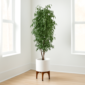 شجرة بانيان صناعية 180 سم - اخضر