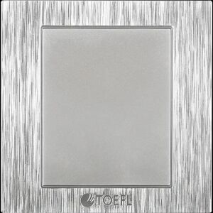 غطاء فيش فارغ لون فضي توفل