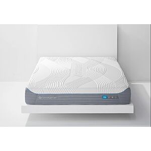 مرتبة H6 هايبرد - كينج